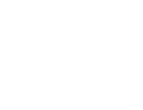 Trident Community<br />
Equipment Ltd