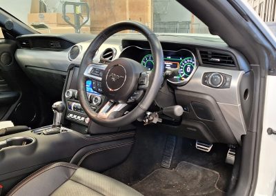 Ford Mustang Suregrip Handcontrol Radial Min